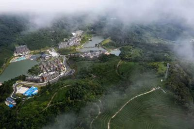 喜报！新兴县荣膺全国旅游综合实力百强，象谷云溪绽放独特魅力