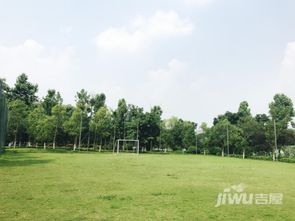 重庆全龄段优质教育配套 爱情谷助力孩子步步为赢 动态 象谷云溪