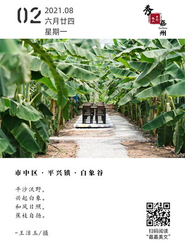 走进百象谷·象谷云溪 群山深处的隐逸秘境
